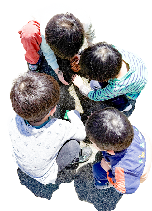 年間行事の画像